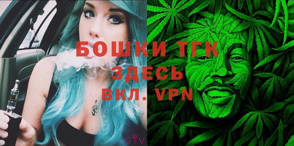 дмт Елабуга
