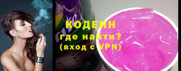 соль ск Ельня