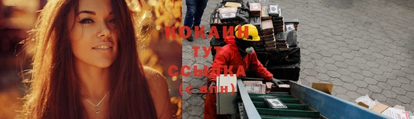 дмт Елабуга