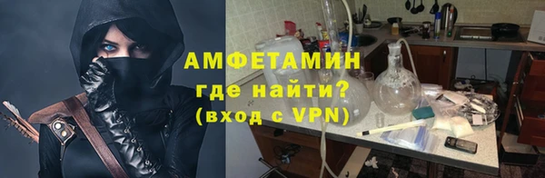 соль ск Ельня