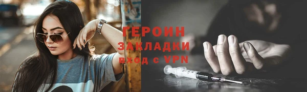 соль ск Ельня