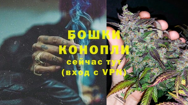 соль ск Ельня