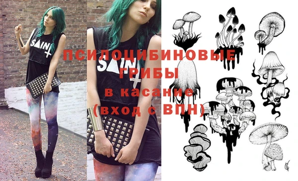дживик Елизово