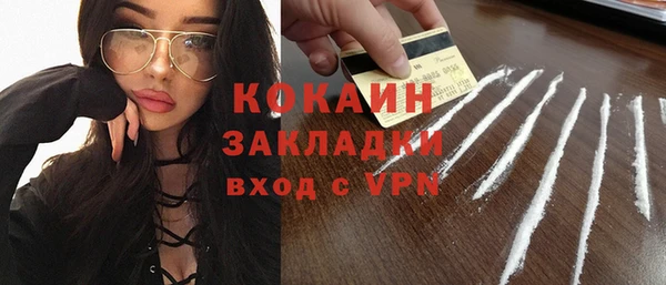 соль ск Ельня