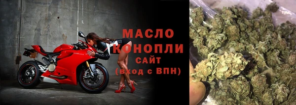 дмт Елабуга