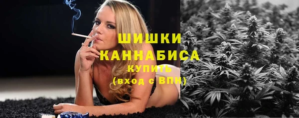 дмт Елабуга