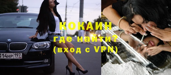 соль ск Ельня