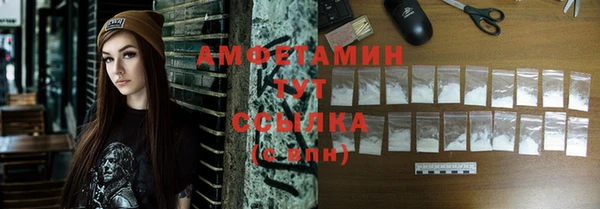 соль ск Ельня